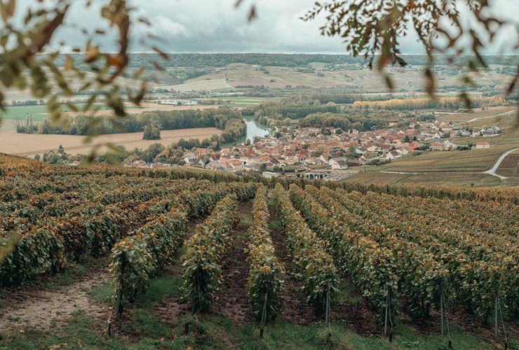 Vineyard Vibes: Crafting The Ideal Atmosphere For Wine And Dine Evenings